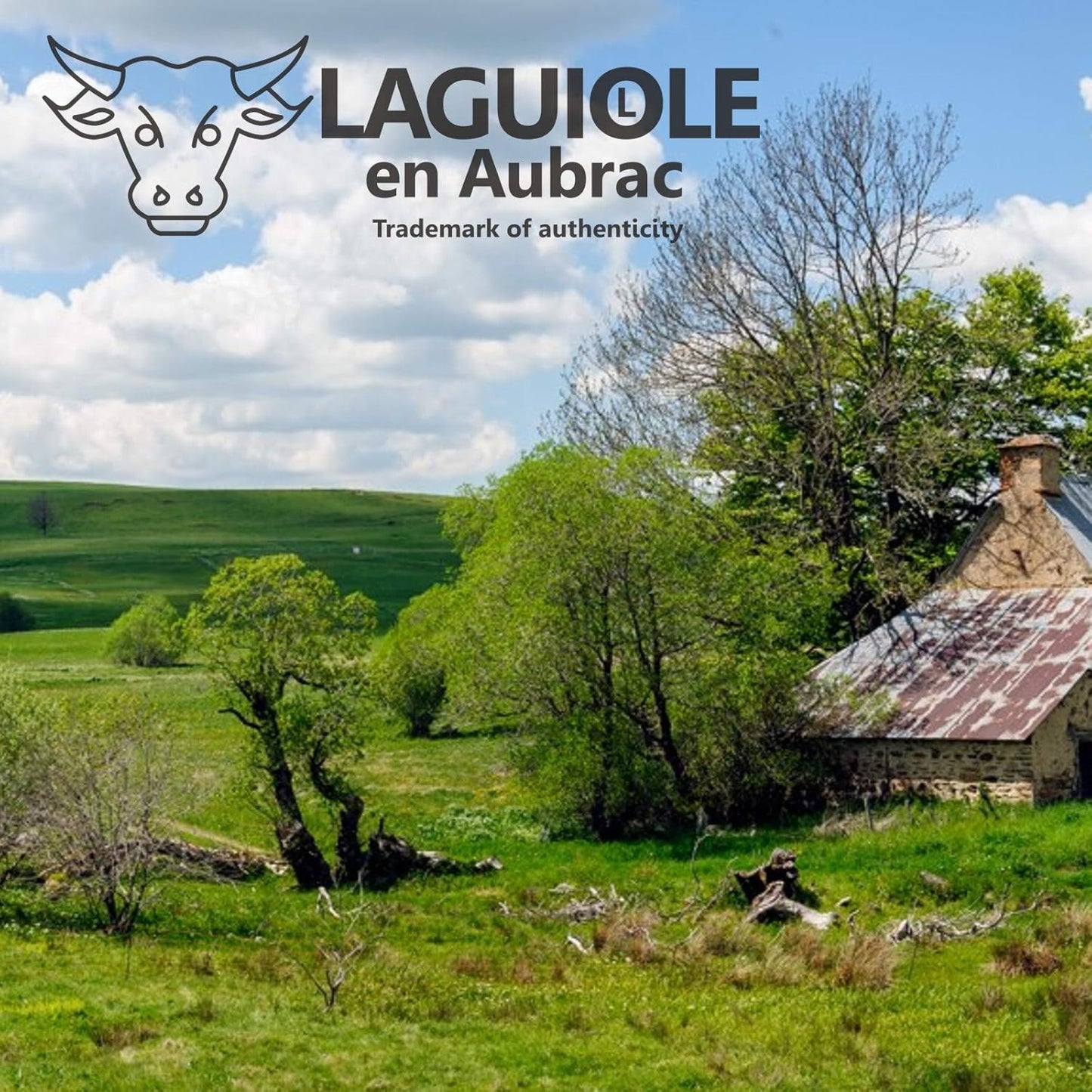 Laguiole en Aubrac Handmade Knife 12 cm L0212OLIF Olive Wood Handle, Blade and bolsters Stainless Steel