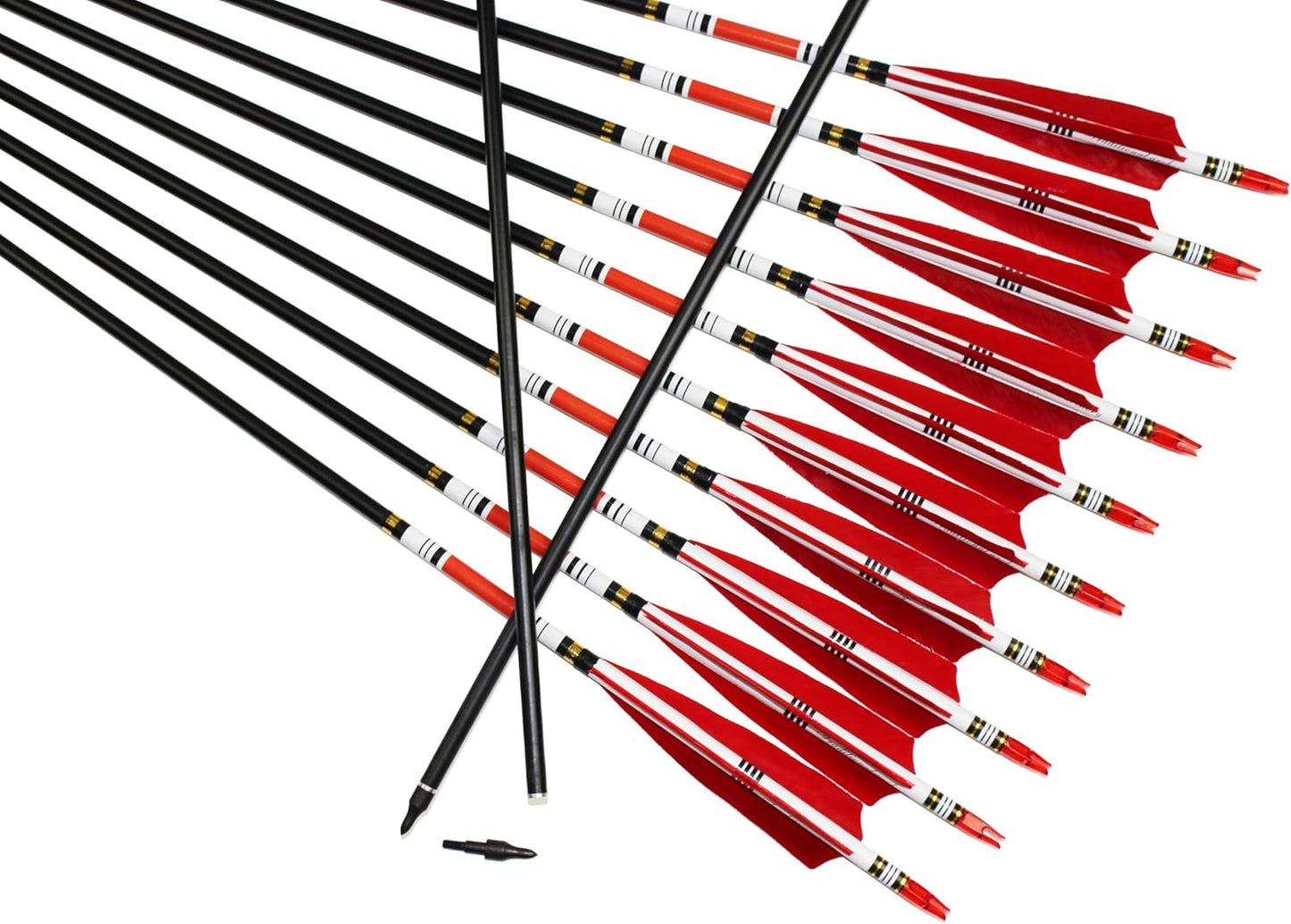 12PCS Red Turkey Feather 31 inches Carbon Arrows Replacement Tips Targeting Arrows Archery for Recurve Longbow Hunting&Practice