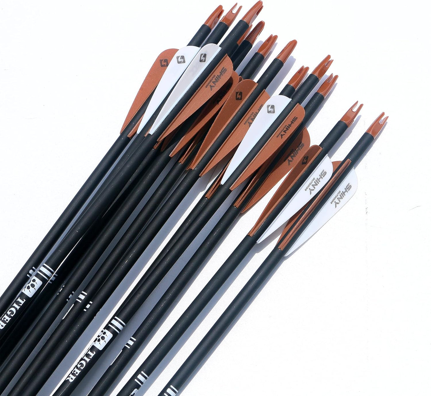 30Inch Carbon Arrow Practice Hunting Arrows with Removable Tips for Compound & Recurve Bow(Pack of 12)