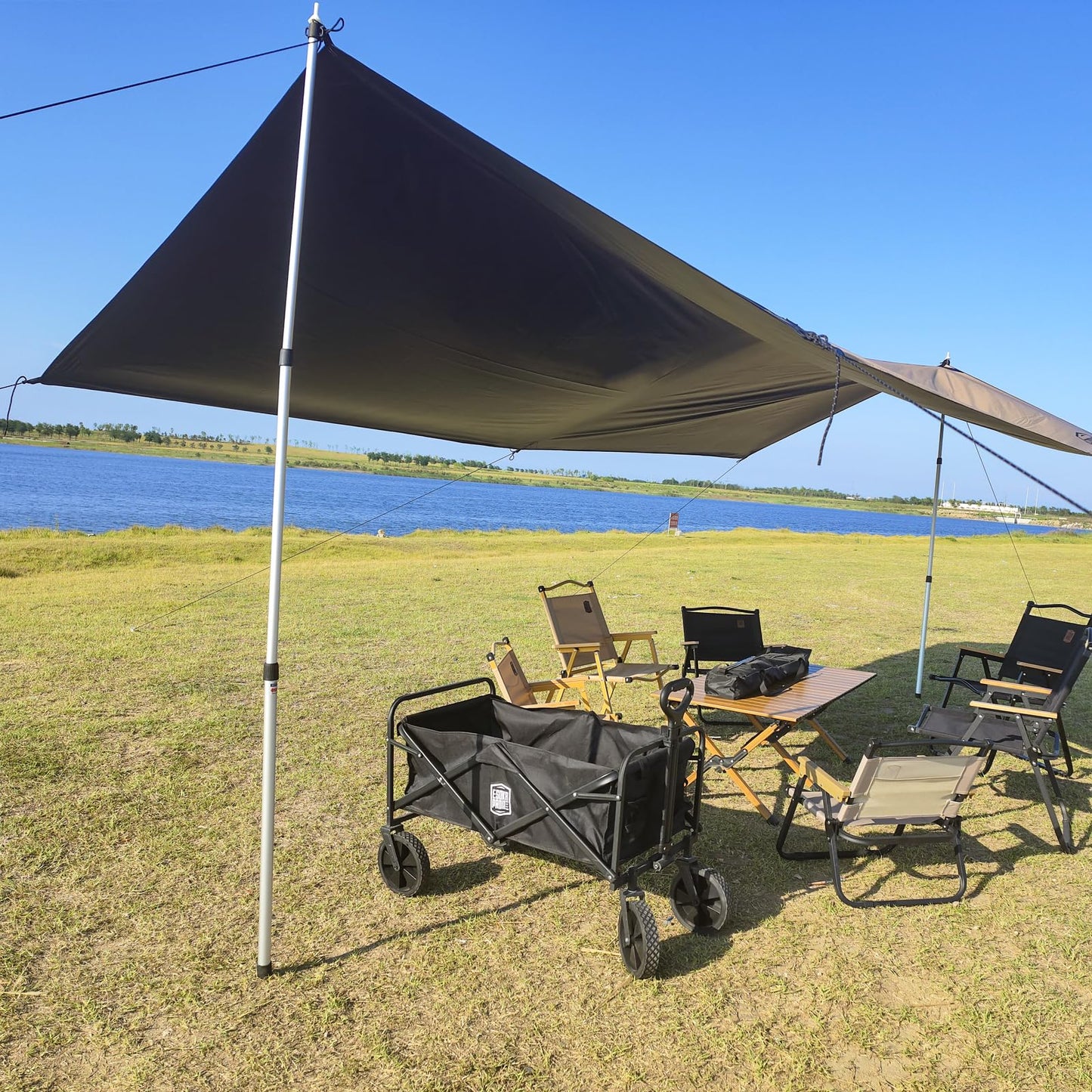 Kaiciuss 98.42'' Aluminum Camping Tarp Poles Adjustable,Telescoping & Portable Tent Poles Replacement (4 Pack), it Comes with 8 Metal Stake, 8 Guy Line Cord with Guyline Adjuster & 1 Storage Bag