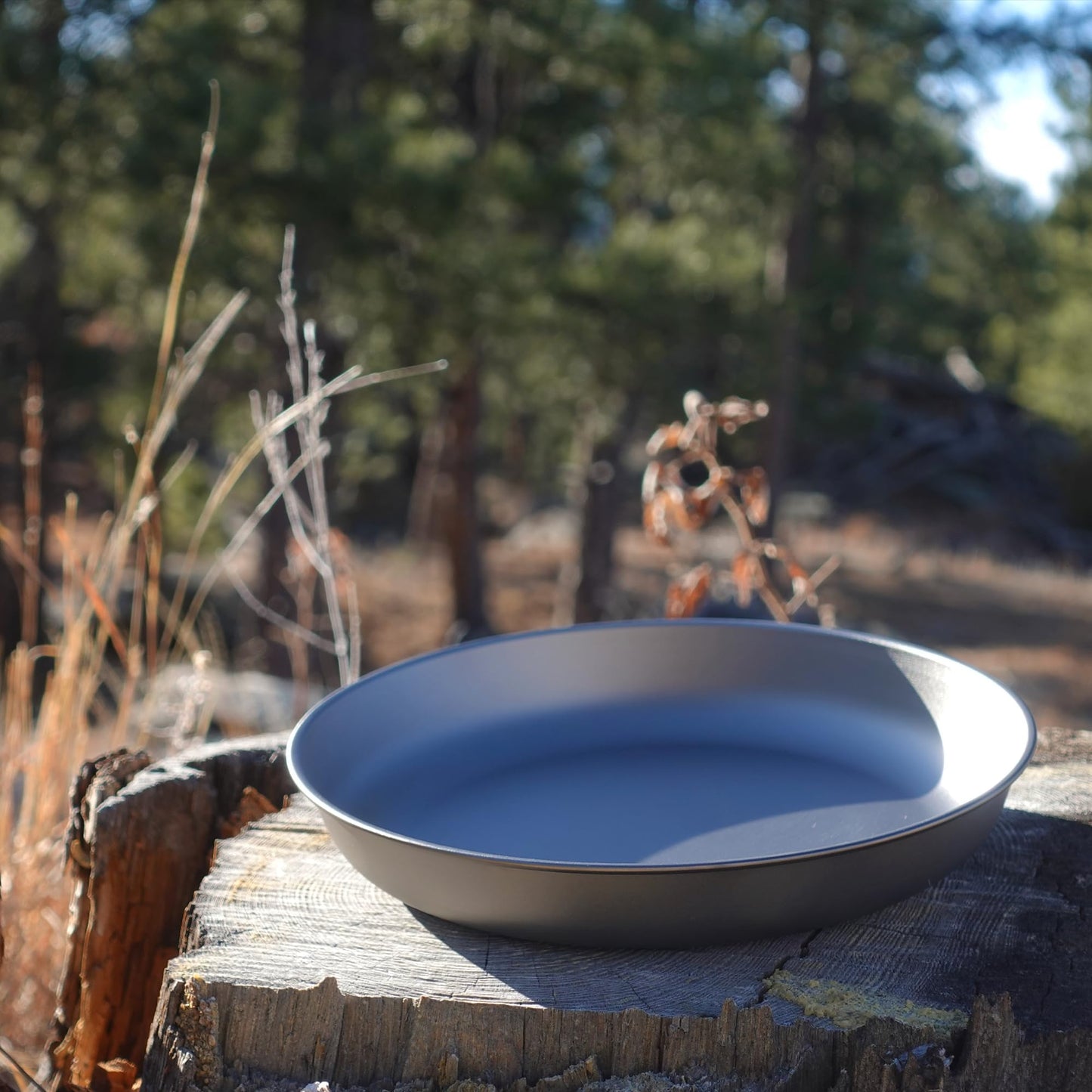 Kuvik Titanium Plate 7.7" Diameter (195mm) - Ultralight and Compact Dinner Plate for Backpacking, Camping, and Survival