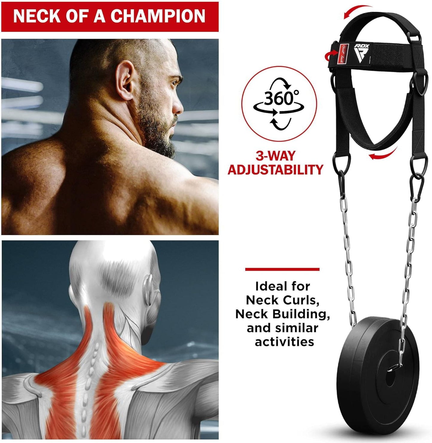 RDX Neck Harness Weight Lifting Training, Head Harness Exerciser, 4MM Padded Neck Builder, 90CM Long Adjustable Steel Chain, Gym Boxing Strength Resistance Workout, Strengthener Trainer Equipment