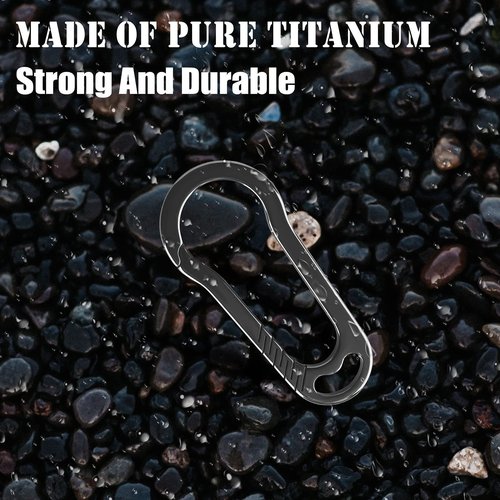 1981LIFE YSK011 2pack Carabiner Keychain Clip for Keys, Heavy Duty Car Key Chains Organizer for Men and Women