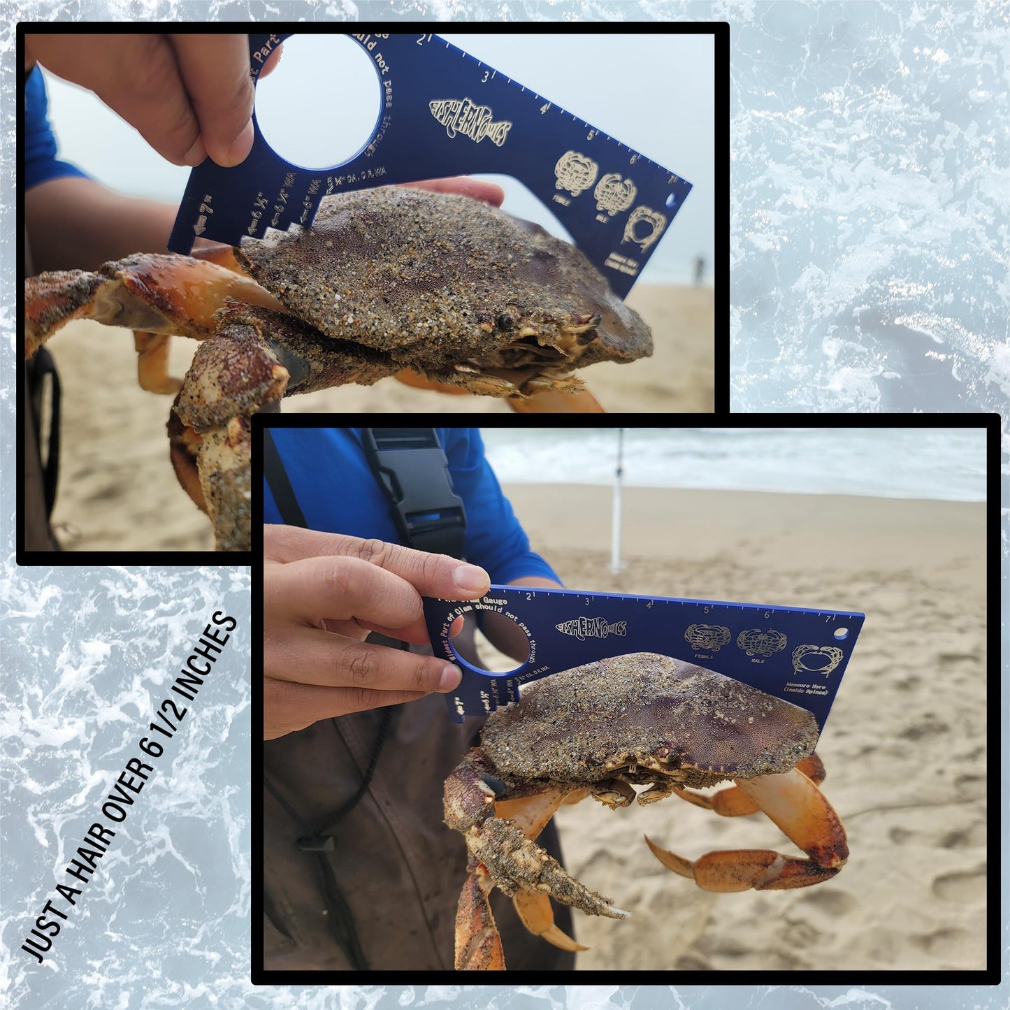 Fishernomics Crab Gauge - Blue & Silver Crab Ruler, Measuring Tool for Dungeness Crab, Rock Crab and Blue Crab with Strong Magnetic Clip Holder and Retractable Coiled Lanyard Carabiner