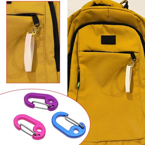 LT Easiyl 4 Sets Mini Carabiners Aluminum Alloy Keyring Clips D Ring Carabiner Spring Buckle Carabiner for Camping Fishing Hiking Traveling Sports Outdoors