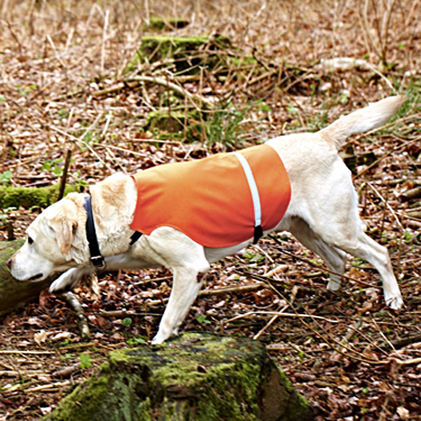 Orange Hunting Dog Waistcoat Vest | Tourbon Chest Protector for Gun Dogs
