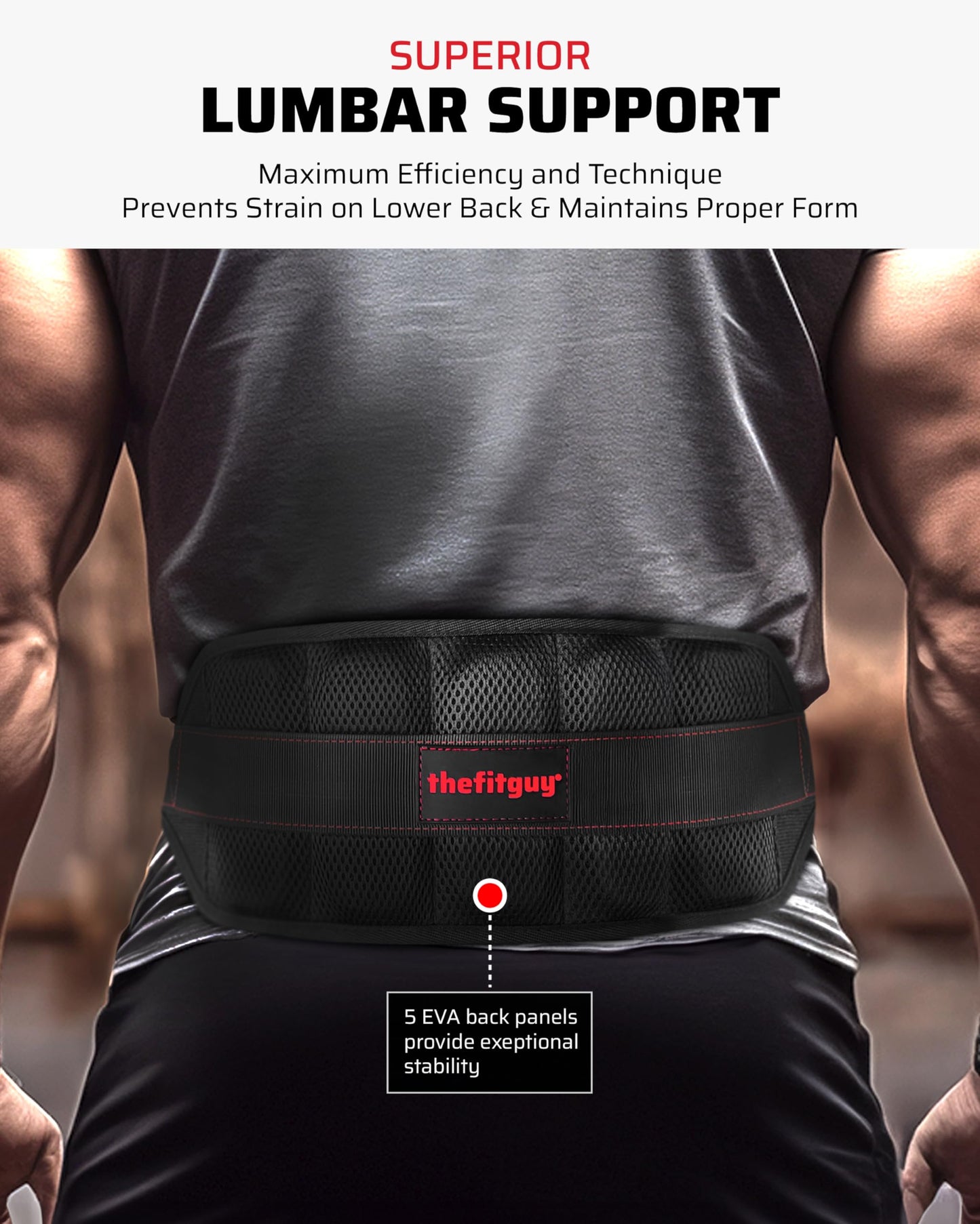 THEFITGUY Ultimate Belt for Belt Squats, Rack Attachment and Squat Machine, Structured Back Support, Stays Low During Down Movement, Padded Hip & Thigh Area, Buckle Strap - No Sliding Down, Heavy Duty