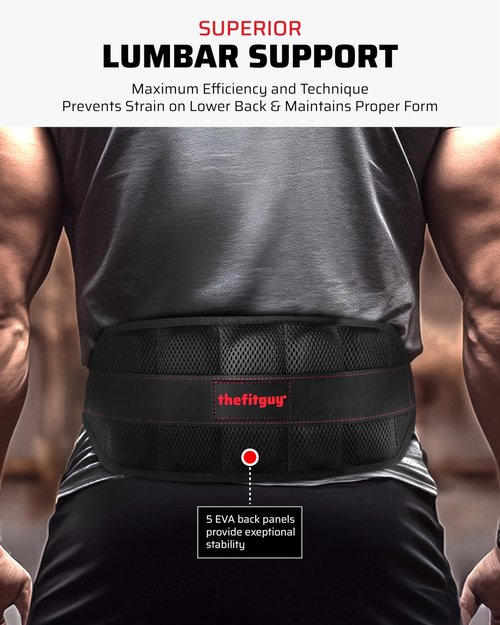 THEFITGUY Ultimate Belt for Belt Squats, Rack Attachment and Squat Machine, Structured Back Support, Stays Low During Down Movement, Padded Hip & Thigh Area, Buckle Strap - No Sliding Down, Heavy Duty