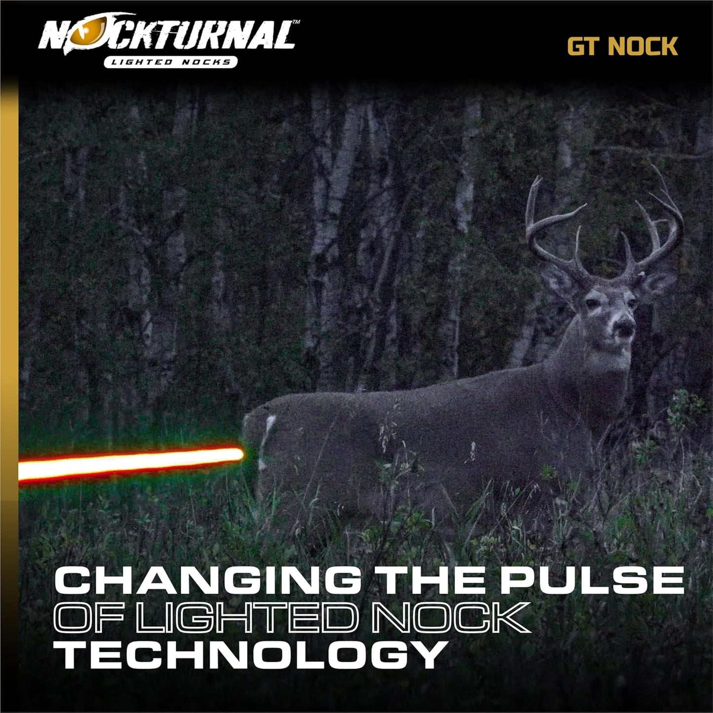 Nockturnal GT Lighted Nock for Gold Tip Arrows with .246 Inside Diameter - RED - 3 Pack (NT-102)