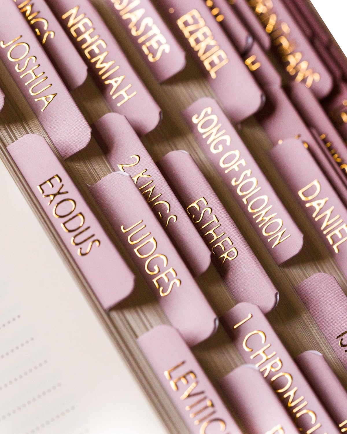 Bible Tabs for Women Study Bible, Embossed Matte Catholic Bible Tabs Gold, Laminated Bible Tabs, Bible Book Tabs w/Old & New Testament Neutral Bible Labels Tabs, Perfect Bible Study Supplies Oak