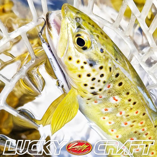 LUCKY CRAFT Pointer 48DD Fishing Lures for Freshwater, 2” Deep-Diving Suspending Jerkbait, Trout and Bass Lures, 3–4ft Depth, Precision Freshwater Fishing Gear and Accessories for Tackle Box