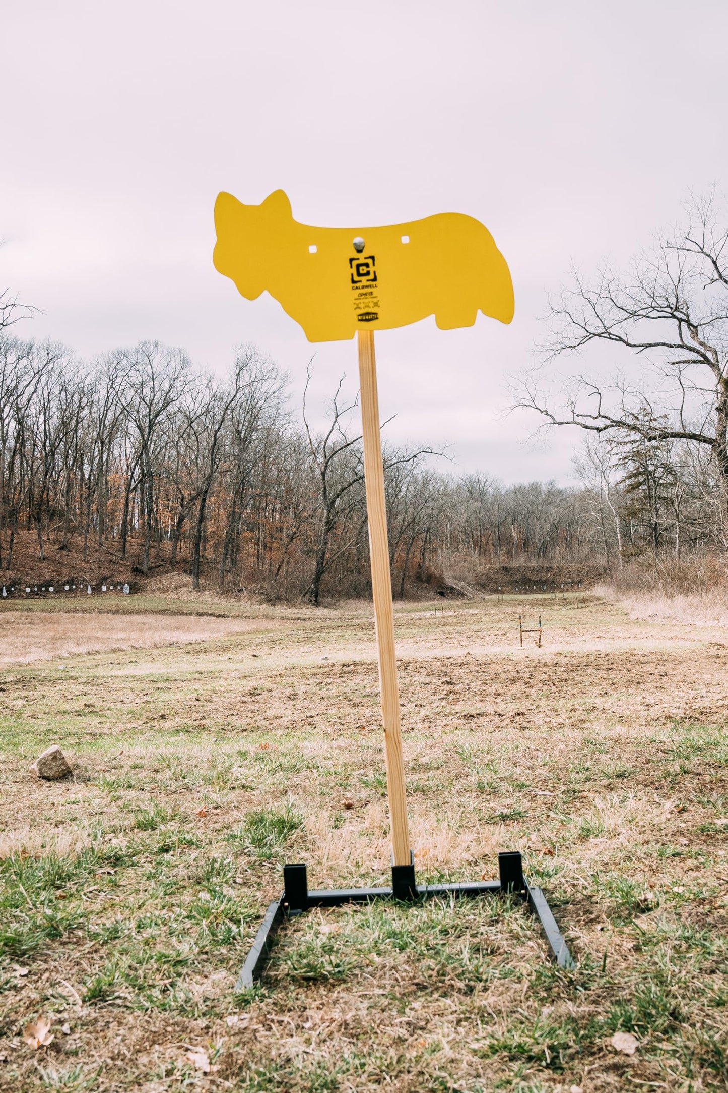 Caldwell AR500 Game Series Coyote 3/8 Inch Thickness, Rifle Rated for Precision Shooting and Target Practice