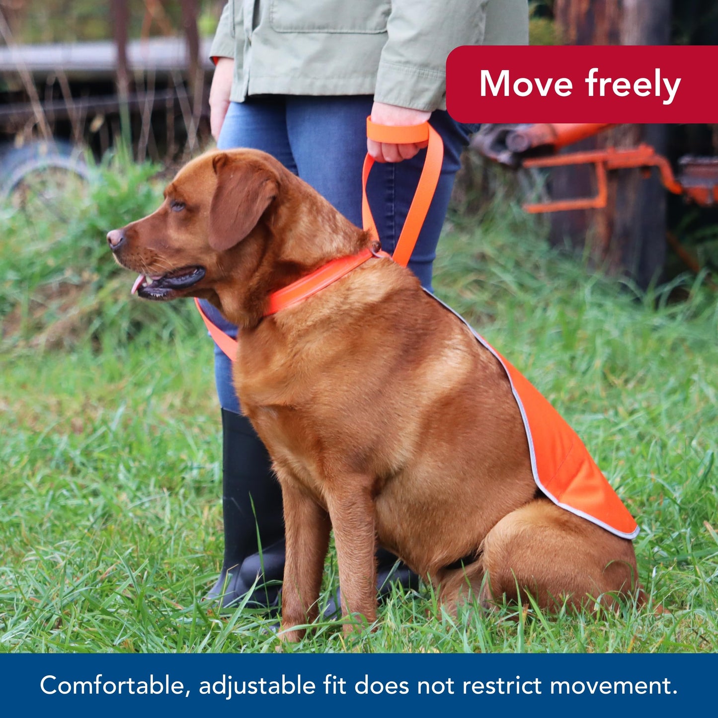Coastal Pet - Water & Woods Reflective Dog Safety Vest by Coastal Pet - Improves Dog's Visibility - Ensures Dog's Comfort - Adjustable Fit - Large (Over 50 lbs.), 22" Length x 17 3/4"-23 3/4" Waist