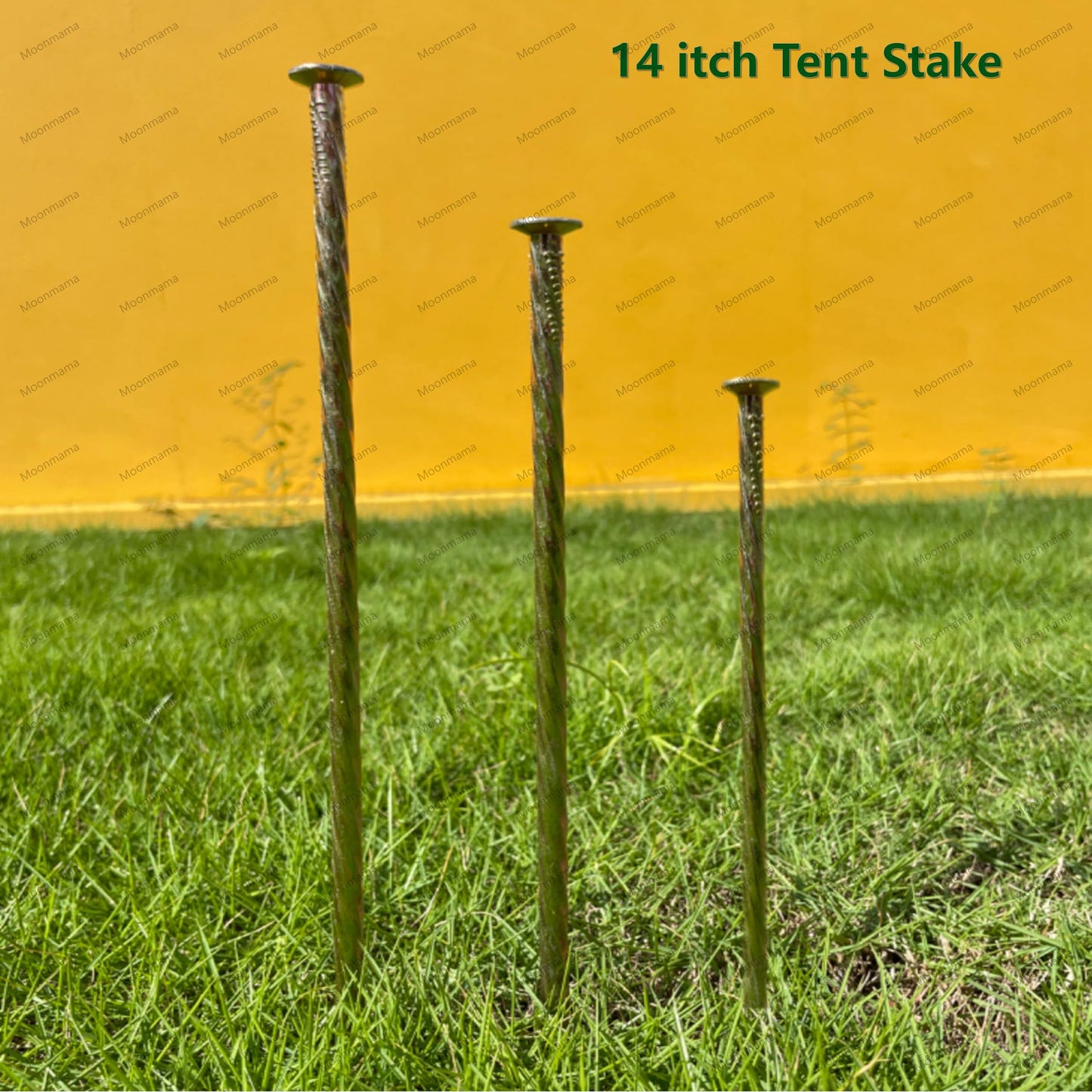 14-inch Galvanized Super Long Steel Nails for Wooden Piles Grass Floor Landscape Metal Yellow Nails Rust-Proof Extension Reinforcement Tent Camping Garden Anchor (20PCS)