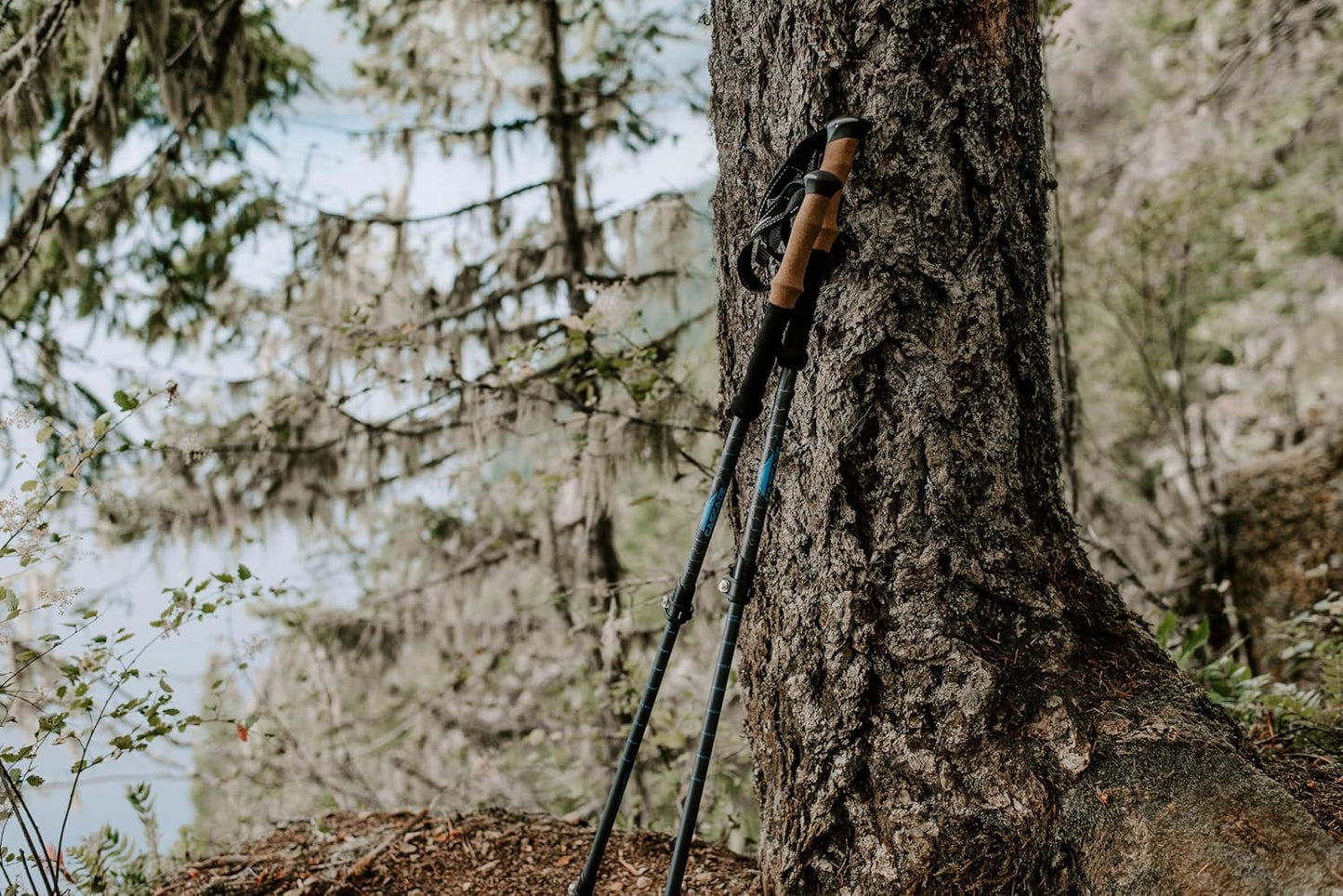 Cascade Mountain Tech Trekking Poles - Carbon Fiber Walking or Hiking Sticks with Quick Adjustable Locks