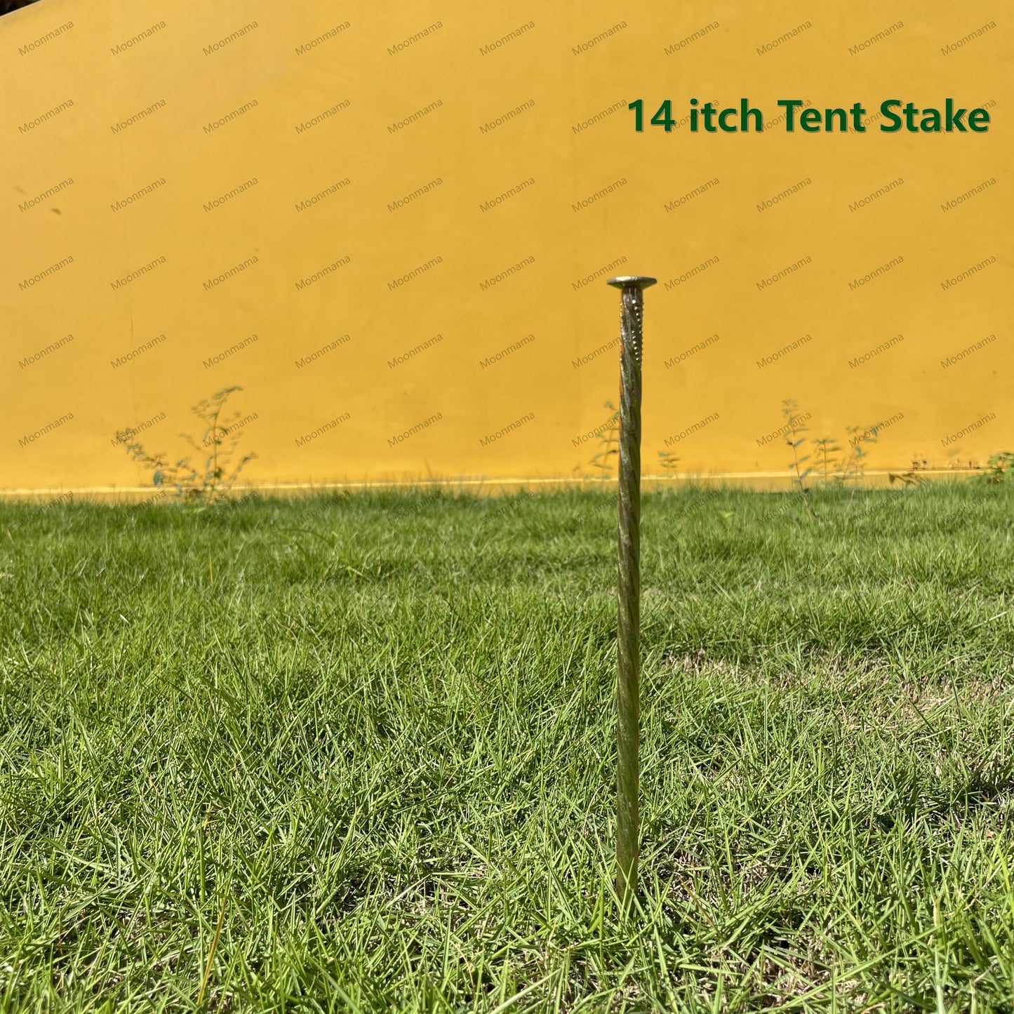 14-inch Galvanized Super Long Steel Nails for Wooden Piles Grass Floor Landscape Metal Yellow Nails Rust-Proof Extension Reinforcement Tent Camping Garden Anchor (20PCS)