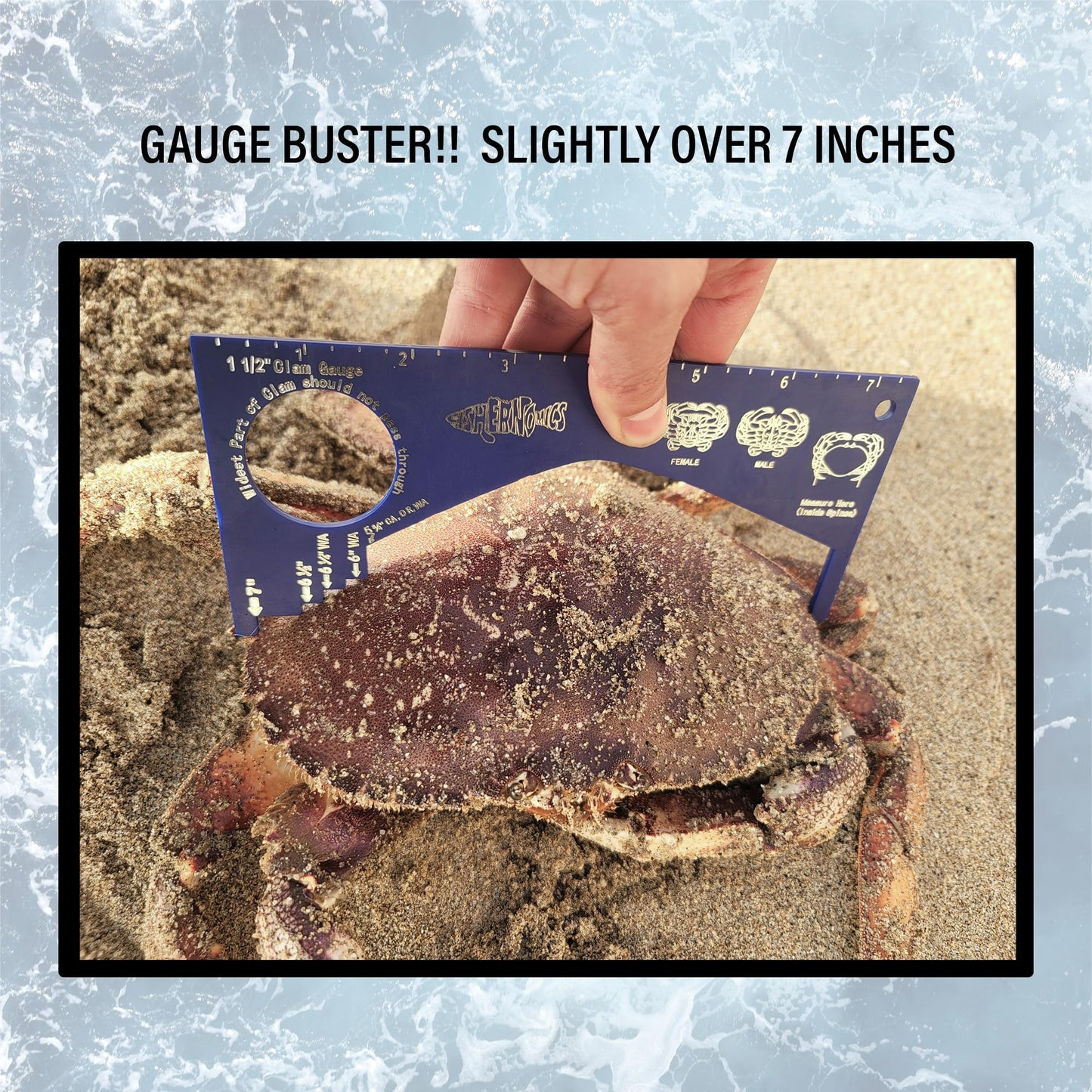 Fishernomics Crab Gauge - Blue & Silver Crab Ruler, Measuring Tool for Dungeness Crab, Rock Crab and Blue Crab with Strong Magnetic Clip Holder and Retractable Coiled Lanyard Carabiner