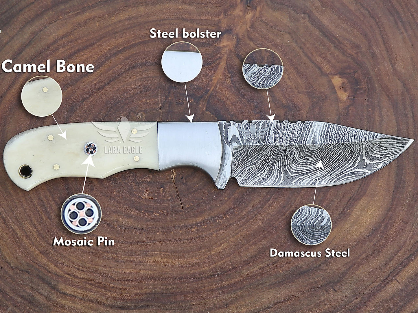 Lara Eagle Damascus Hunting Knife - Fixed Blade Handmade Skinner with Sheath - 7.5 inch Survival Knife Great for Camping, Hunting - Camel bone Handle with mosaic pin, Gift for Husband, Anniversary, Dad (Camel bone)