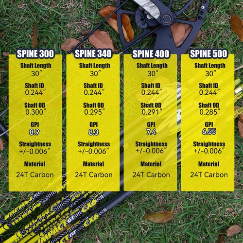 BOWSOUL Carbon Arrows 12pk 100% Pure Carbon Hunting Arrows Target Practice Arrows with Removable Tips for Compound Bow & Recurve Bow (SP300, 30inch)