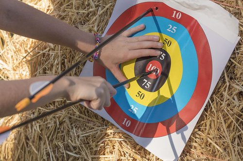 Bear Archery Youth Safety Glass Arrows, Durable & Splinter-Free Fiberglass Arrows, Nocks and Points Included, Pre-Fletched with Vanes, America's No. 1 Youth Archery Brand