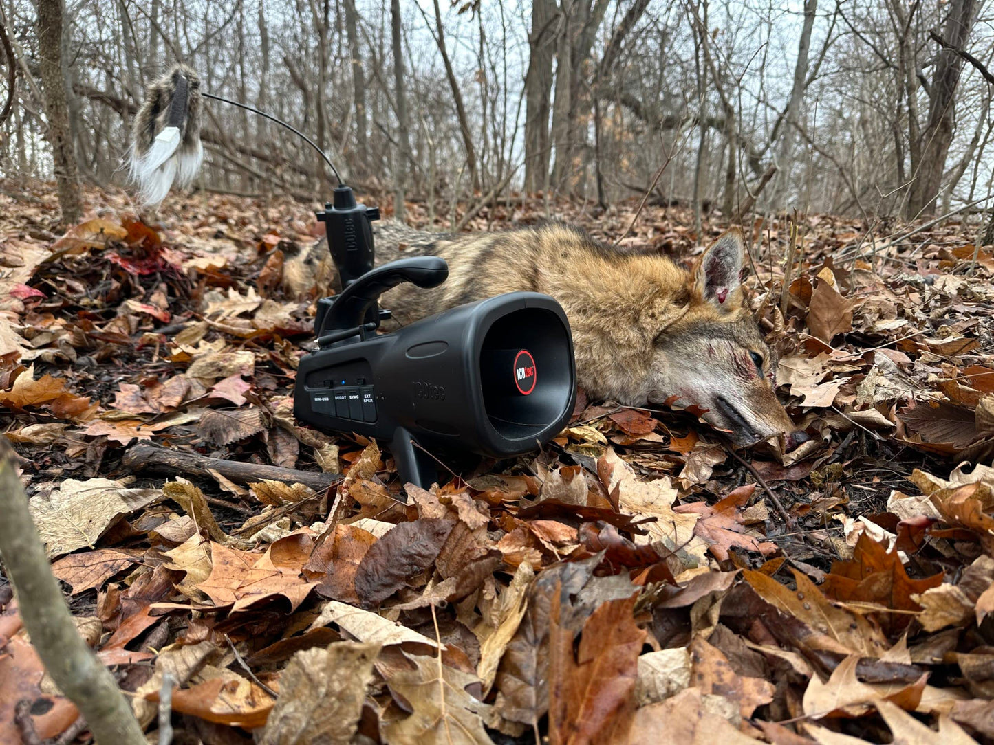 Night Stalker+ Predator Game Call - Designed for Coyote, Fox, Bobcat, Raccoon Hunting - 165 Sounds Included, 300 Yard Remote Range
