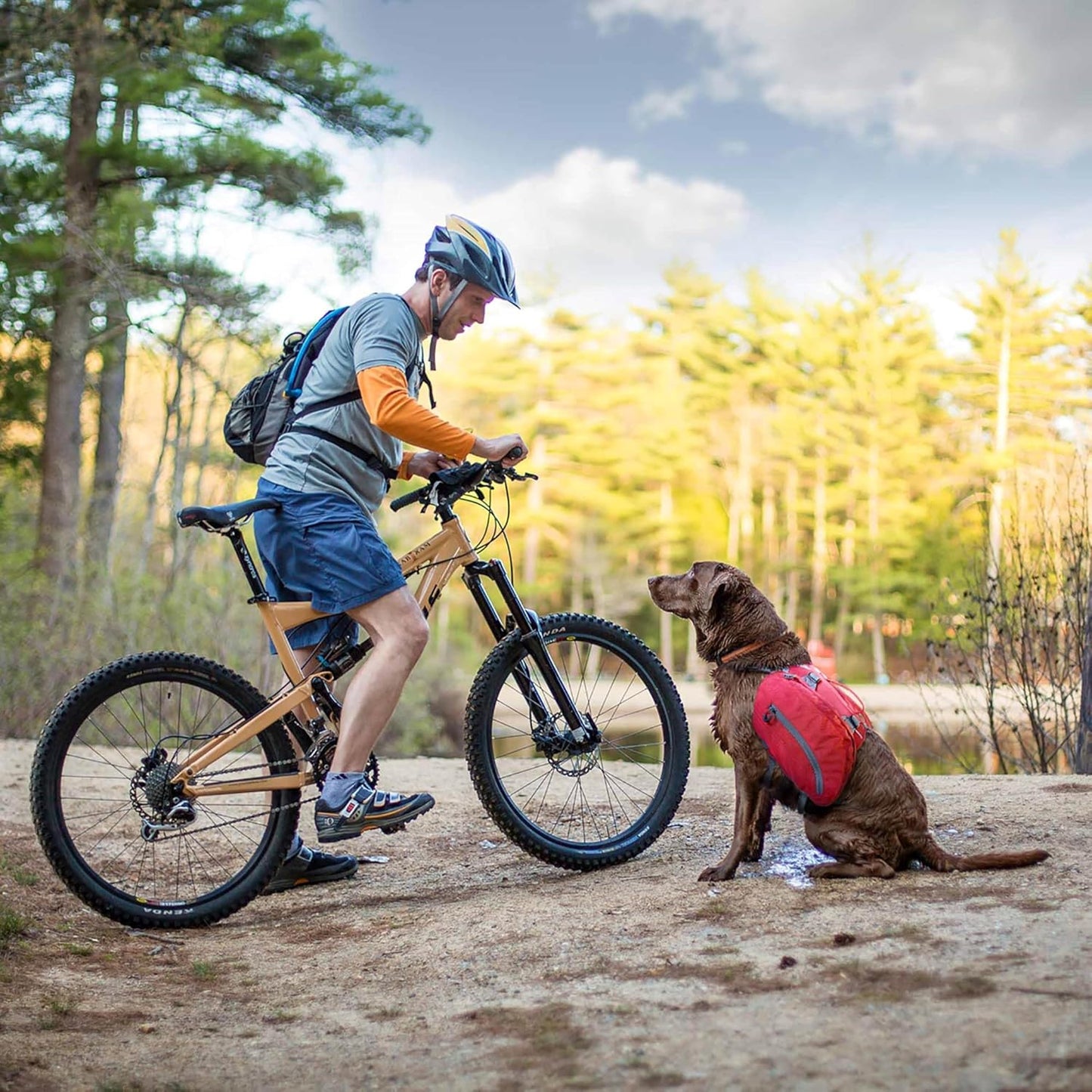 Kurgo Big Baxter Dog Backpack, Dog Saddlebag, Dog Pack, Adjustable Saddlebag for Hiking, Walking, Running, Camping, Black/Orange