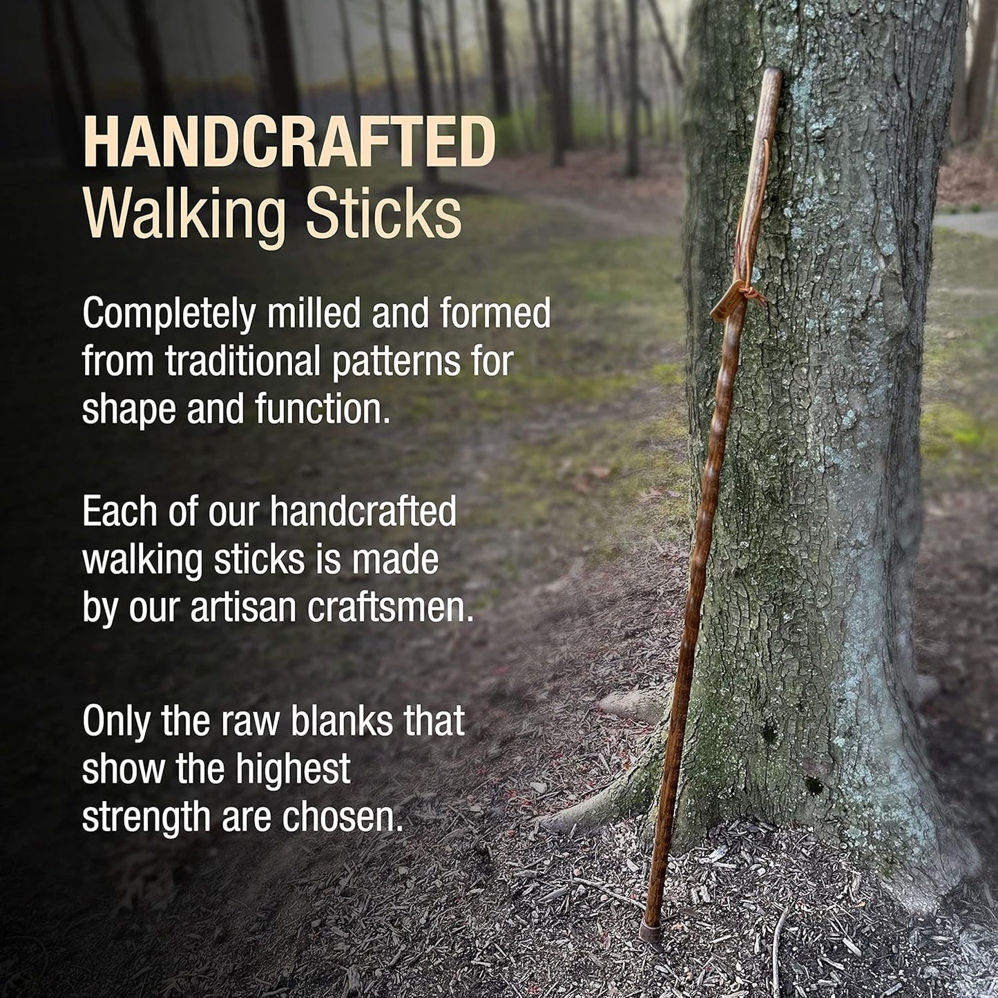 Handcrafted Twisted Oak Walking Stick for Men & Women - USA Made Trekker Style