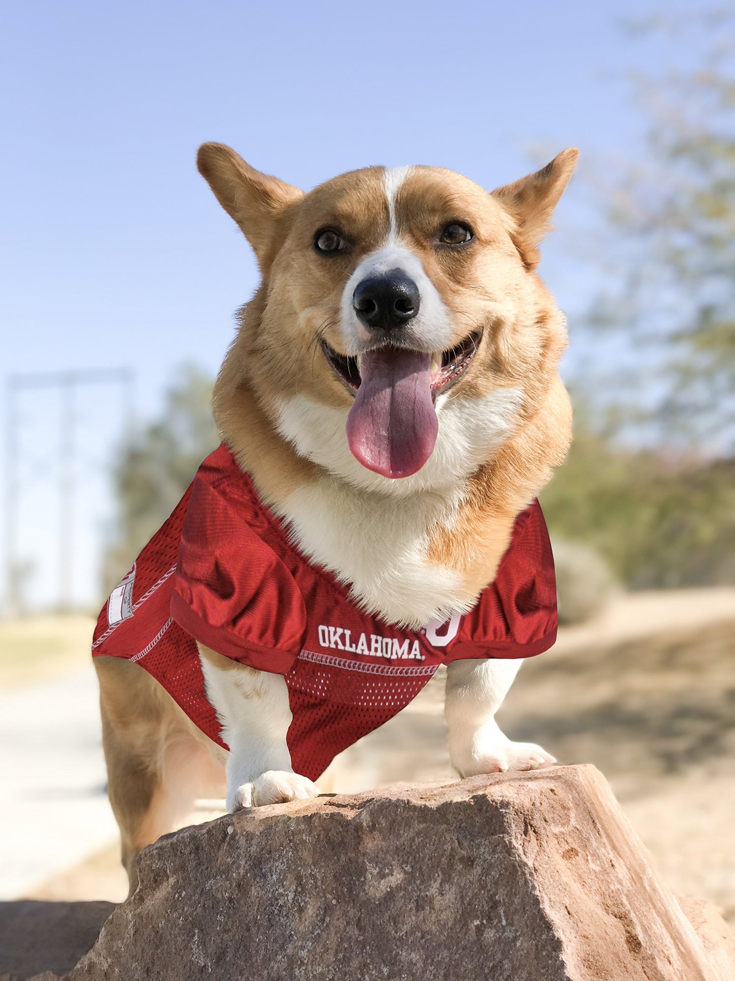NCAA College Oklahoma Sooners Mesh Jersey for Dogs & Cats, Medium. Licensed Big Dog Jersey with Your Favorite Football/Basketball College Team (Pack of 2)