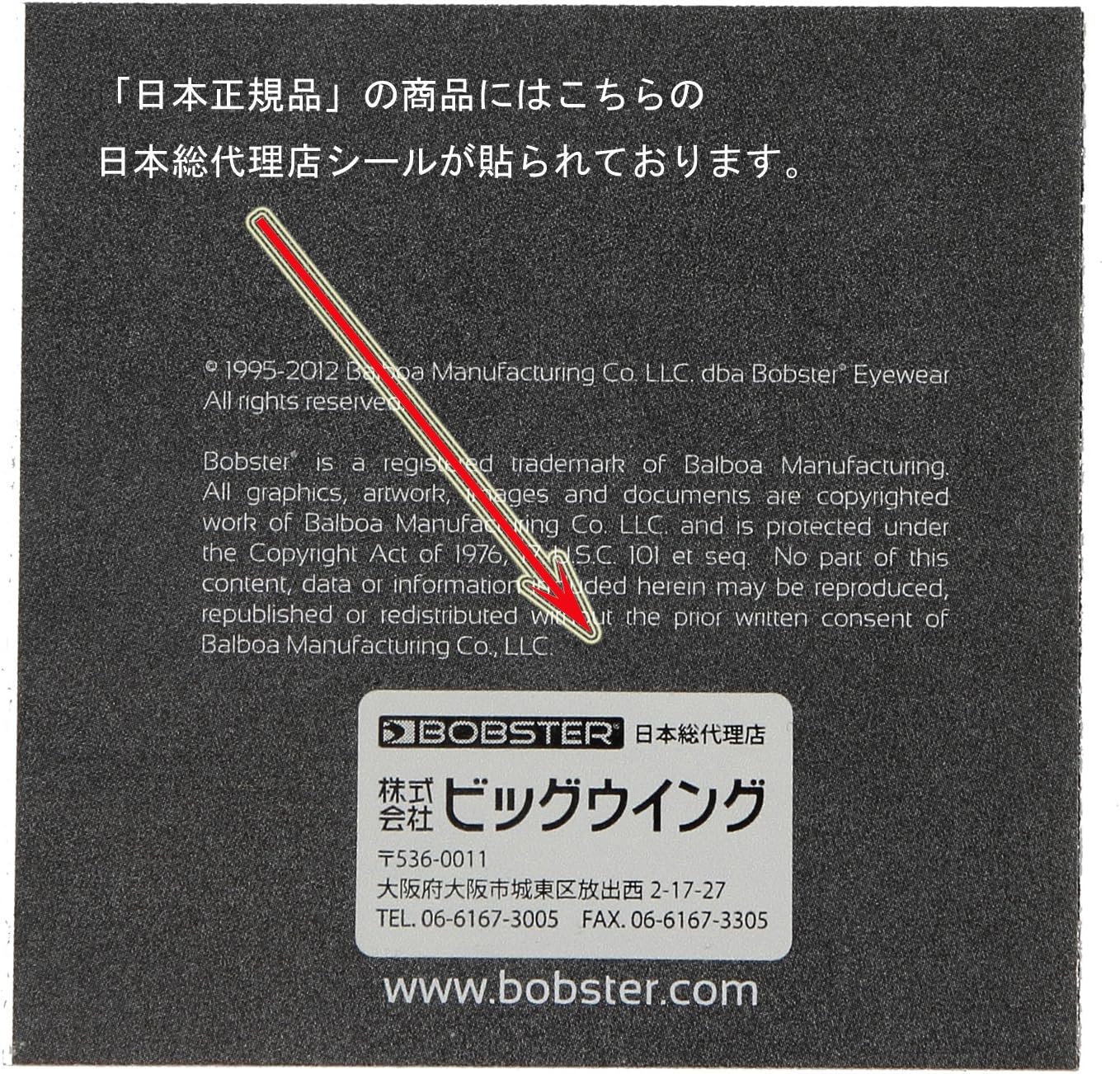 Bobster Shield Sunglasses
