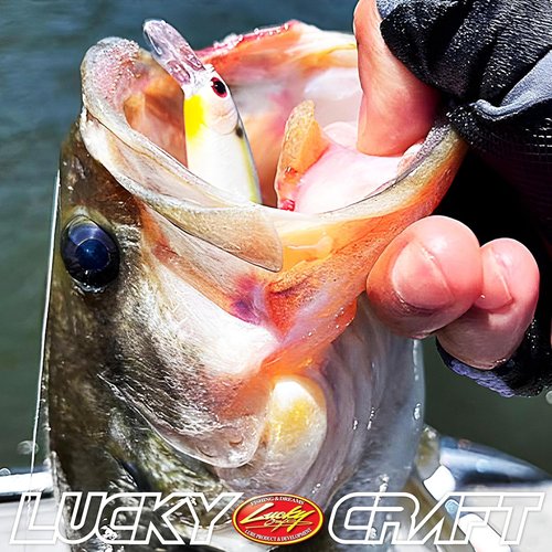 Lucky Craft Pointer 78-mm Bait