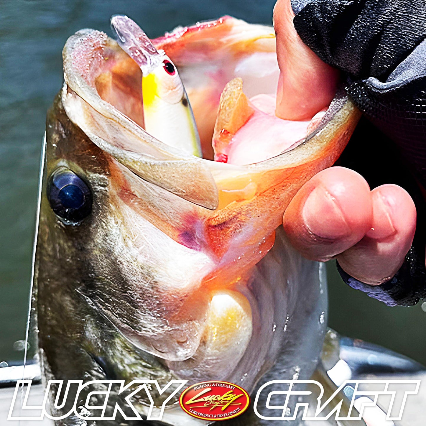 LUCKY CRAFT Pointer 78SP Fishing Lures, 3" Freshwater Bass & Trout Lures, Suspending 4ft-5ft Depth, Jerkbait, Bass Fishing Gear and Accessories, Silver Cheek Ghost Minnow