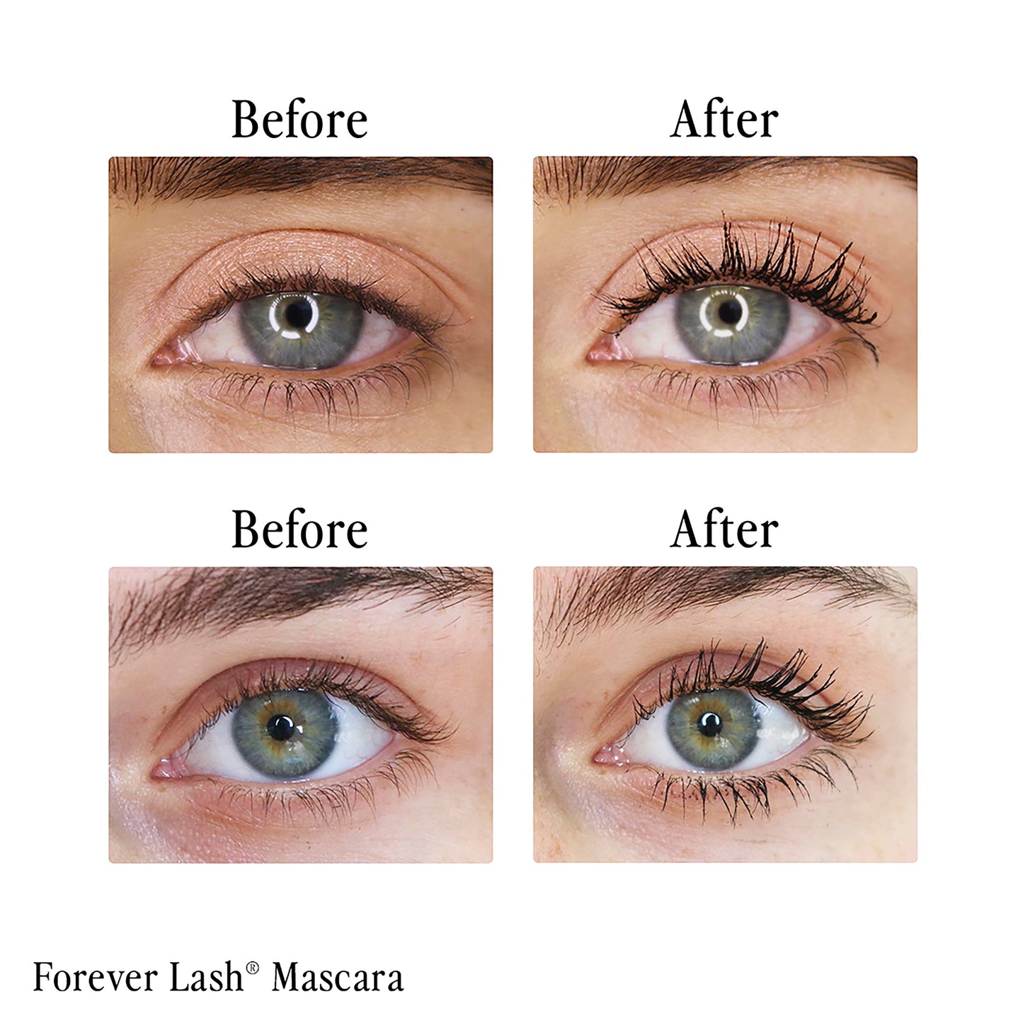 Waterproof Black Lash Mascara | Lengthening & Volumizing Formula | Vegan