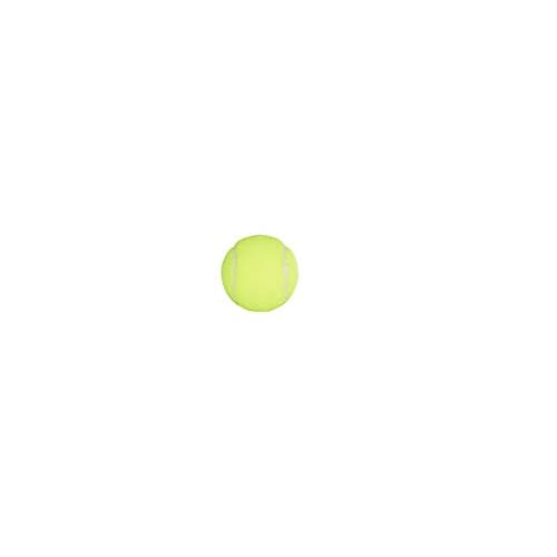 Penn Championship - Extra Duty Felt Pressurized Tennis Balls - 15 Cans, 45 Balls
