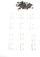 JSP Manufacturing New AFTERMARKET Coleman Replacement Cooler Hinges + Stainless Screws (2)