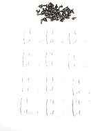 Aftermarket Coleman Cooler Replacement Hinges with Stainless Steel Screws (2 Pack)