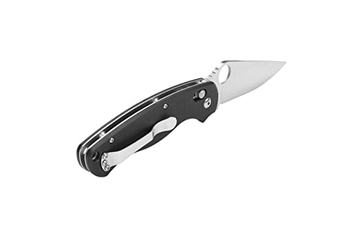 Ganzo G729-BK Folding Pocket Knife with 440C Steel Blade and G10 Handle - Black