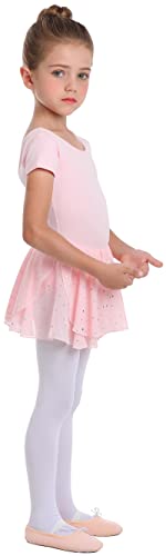 Ballet Pink Toddler Girls Long Sleeve Ballet Leotard with Glitter Tutu Dress - A1 (Short Sleeve) 2-3T