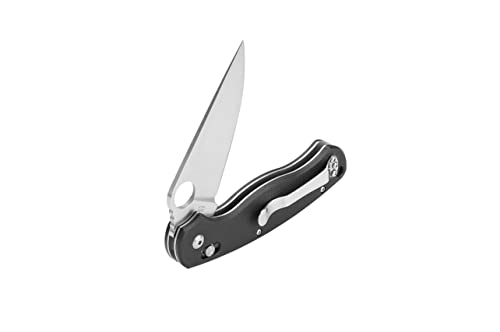 Ganzo G729-BK Folding Pocket Knife with 440C Steel Blade and G10 Handle - Black