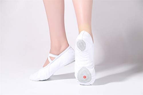 Women Canvas Ballet Slippers Dance Shoes - White Band, Adult