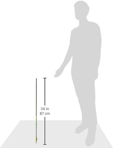 Gold Tip Hunter XT Carbon Arrows with Raptor Vanes - Pack of 6 for Precision Archery