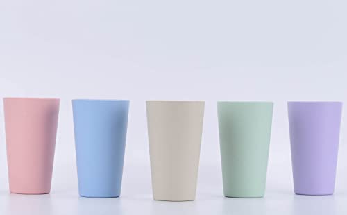 20 oz Wheat Straw Unbreakable Reusable Water Cups Set of 5 - Eco Friendly & BPA Free