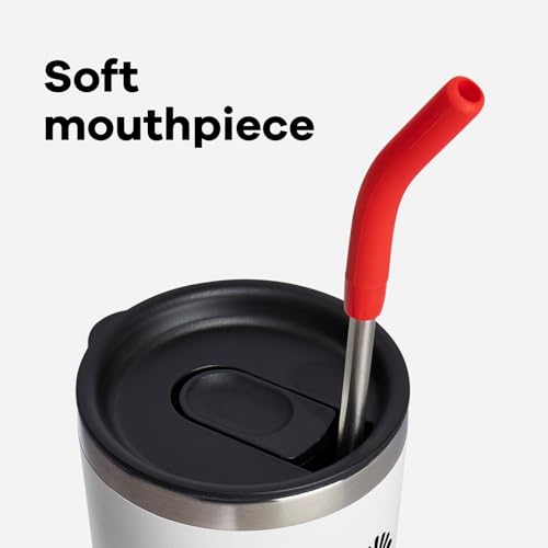 Hydro Flask Stainless Steel Straw Set Goji