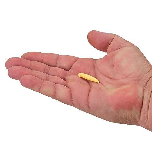 Berkley Gulp! Floating Pinched Crawler Fishing Bait, Chunky Cheese, 1in, Garlic Scent, Extreme Scent Dispersion, Realistic Nightcrawler Profile, Ideal for Panfish, Walleye and More