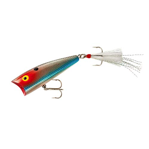 Topwater Fishing Lure - Silver Shad, Pro Pop-R Plus, 1/4 oz, Versatile Bait