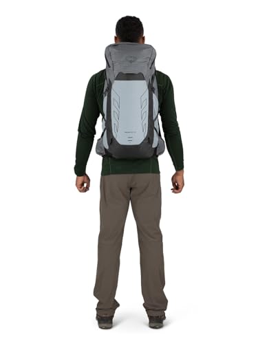 Osprey Talon Pro 30L Men's Hiking Backpack with Hipbelt, Silver Lining