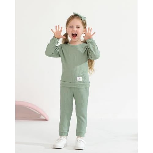 Weebaby Toddler Girl Clothes Infant Girl Sweatsuit Baby Pant Set Outfits Fall Winter Clothing Little Clothes for Girl
