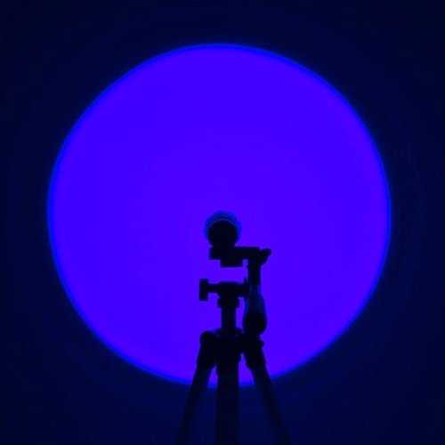 ULTRAFIRE Blue Light Flashlight, 450-460nm Single Mode LED Blue Flashlight, Portable Small Blue Light for Night Fishing and Outdoor Activities-Black House WF-508BL