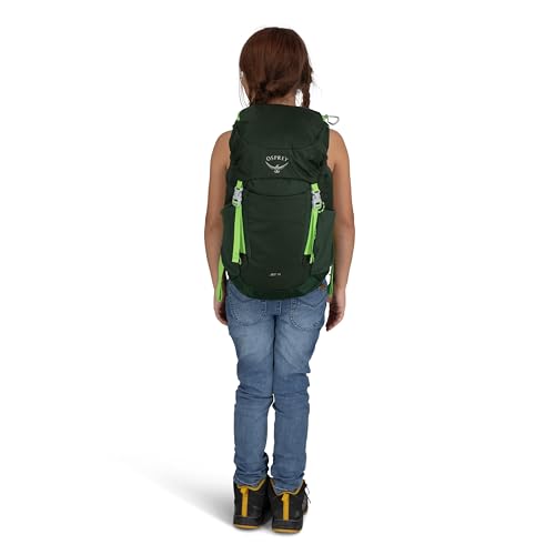 Osprey Jet 18L Kid's Hiking Backpack, Euphoria Purple