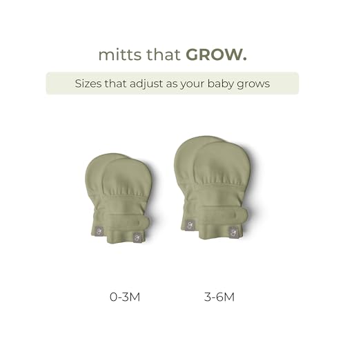 Baby Anti-Scratch Mitts Made from Bamboo Cotton for 3-6 Months - Artichoke
