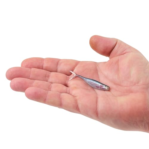 Berkley PowerBait The Champ Minnow Fishing Bait, HD Emerald Shiner, 2.5in, Irresistible Scent and Flavor, Ideal for Bass and Walleye